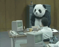 404-gif